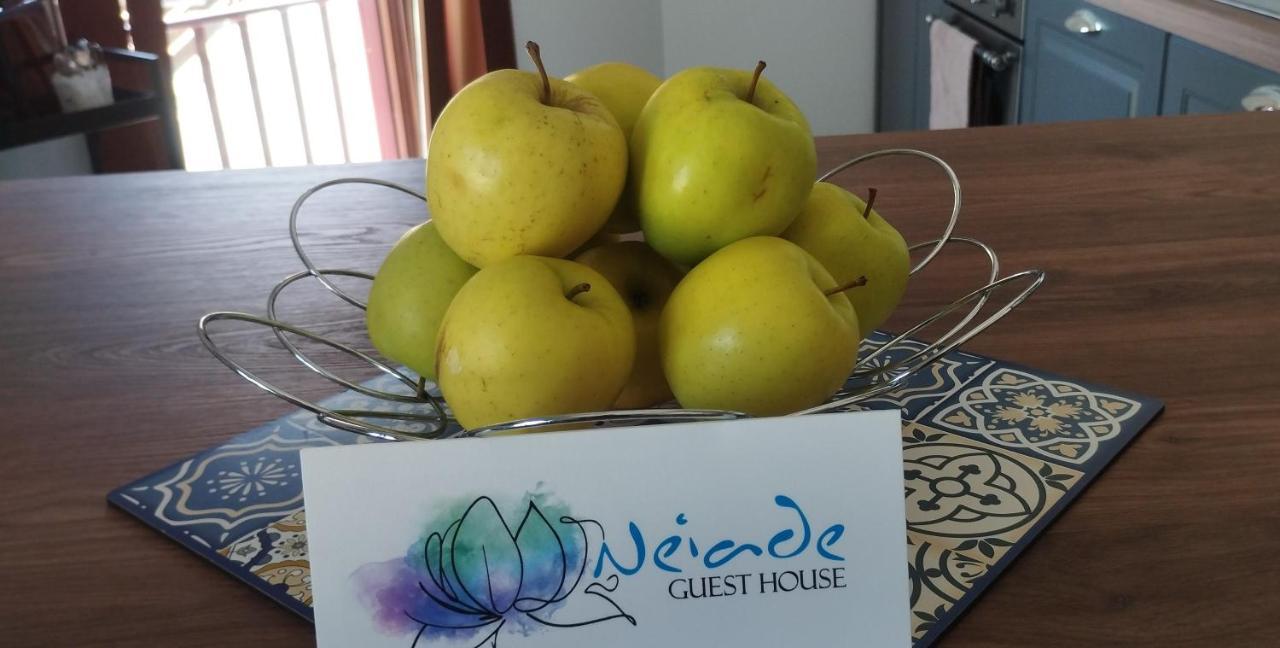 Vista Lago Lecco - Neiade Guest House Pescate Exterior foto